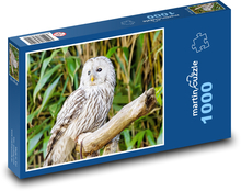 Biela sova Puzzle 1000 dielikov - 60 x 46 cm 