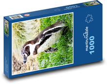 Pinguin im Gras Puzzle 1000 Teile - 60 x 46 cm