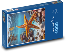 Starfish in the Sea Puzzle 1000 pieces - 60 x 46 cm 