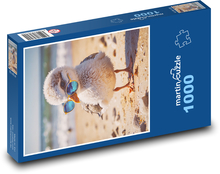 Čajka! Puzzle 1000 dielikov - 60 x 46 cm 