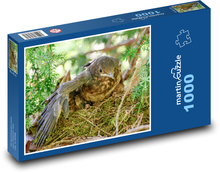 Kosa pisklę Puzzle 1000 elementów - 60x46 cm
