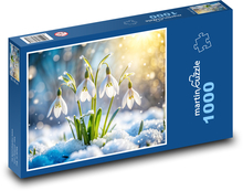 Sněženky ve sněhu Puzzle 1000 dílků - 60 x 46 cm