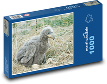 Orel bělohlavý - mládě Puzzle 1000 dílků - 60 x 46 cm