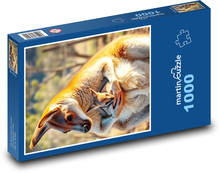 Klokan s mládětem Puzzle 1000 dílků - 60 x 46 cm