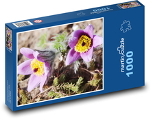 Sasanka Puzzle 1000 elementów - 60x46 cm