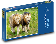 Lwy Puzzle 1000 elementów - 60x46 cm