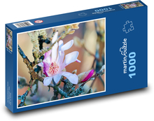 Květ magnólie Puzzle 1000 - 60x46 cm