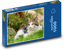 Cat  Puzzle 1000 pieces - 60 x 46 cm 