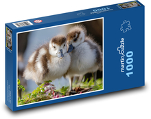 Egyptian geese Puzzle 1000 pieces - 60 x 46 cm 