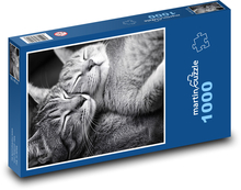 Katzen, Schwarz-Weiß-Foto Puzzle 1000 Teile - 60 x 46 cm