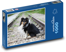 Shetlandský ovčák Puzzle 1000 - 60x46 cm