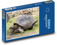 Giant turtle Puzzle 1000 pieces - 60 x 46 cm 
