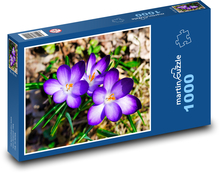 Krokusy Puzzle 1000 dielikov - 60 x 46 cm 