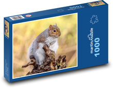 Veverka Puzzle 1000 dílků - 60 x 46 cm