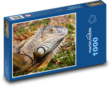 Leguan Puzzle 1000 Teile - 60 x 46 cm