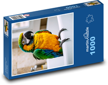 Papagei Puzzle 1000 Teile - 60 x 46 cm