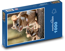 Myši - hlodavci Puzzle 1000 dílků - 60 x 46 cm