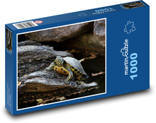 Korytnačka Puzzle 1000 dielikov - 60 x 46 cm 