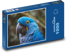 Papoušek Puzzle 1000 dílků - 60 x 46 cm