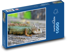 Leguán Puzzle 1000 dielikov - 60 x 46 cm 