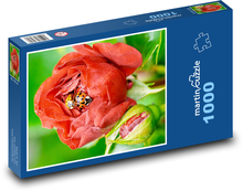 Ruža a slnečnica Puzzle 1000 dielikov - 60 x 46 cm 