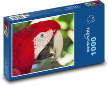 Papagáj - ara Puzzle 1000 dielikov - 60 x 46 cm