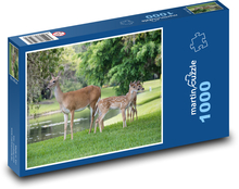 Jeleň v parku Puzzle 1000 dielikov - 60 x 46 cm 