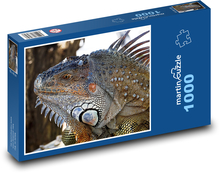 Leguán - ještěrka Puzzle 1000 - 60x46 cm
