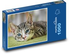Cat top Puzzle 1000 pieces - 60 x 46 cm 