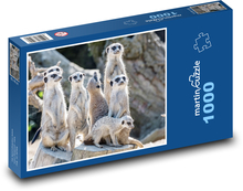 Surykatki Puzzle 1000 elementów - 60x46 cm