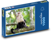 Kapucínská opice Puzzle 1000 dílků - 60 x 46 cm