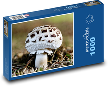 Mushroom - toadstool Puzzle 1000 pieces - 60 x 46 cm 