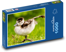 Nilgans Puzzle 1000 Teile - 60 x 46 cm
