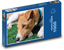 jack-russell-teriér Puzzle 1000 dielikov - 60 x 46 cm 