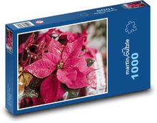 Poinsettia Puzzle 1000 pieces - 60 x 46 cm 