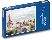 Kachny divoké Puzzle 1000 dílků - 60 x 46 cm