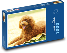 Dog - Puppy Puzzle 1000 pieces - 60 x 46 cm 