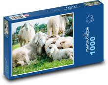 Owce Puzzle 1000 elementów - 60x46 cm