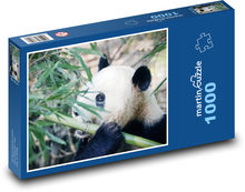 Panda Puzzle 1000 pieces - 60 x 46 cm 