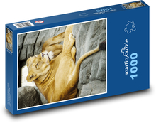 Lvice Puzzle 1000 - 60x46 cm