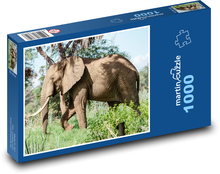 Slon Puzzle 1000 dielikov - 60 x 46 cm
