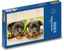 Šteniatka - psy Puzzle 1000 dielikov - 60 x 46 cm