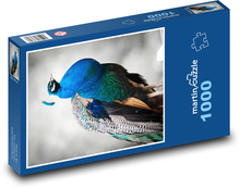 Páv. Puzzle 1000 dielikov - 60 x 46 cm