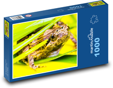 Frog - Jumper Puzzle 1000 pieces - 60 x 46 cm