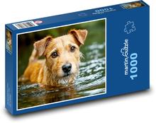 Dog in water Puzzle 1000 pieces - 60 x 46 cm 