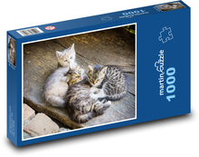 The kittens Puzzle 1000 pieces - 60 x 46 cm 