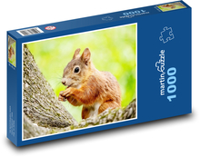 Eichhörnchen. Puzzle 1000 Teile - 60 x 46 cm