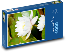 Weiße Seerose Puzzle 1000 Teile - 60 x 46 cm