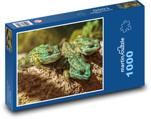Žáby Puzzle 1000 dílků - 60 x 46 cm