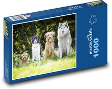 Psy Puzzle 1000 elementów - 60x46 cm